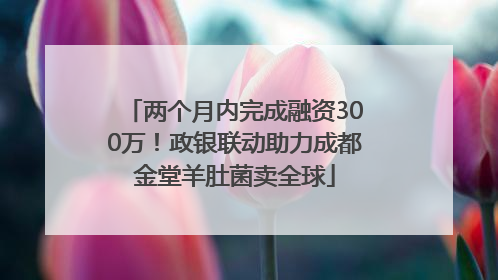 两个月内完成融资300万！政银联动助力成都金堂羊肚菌卖全球