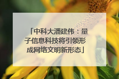 中科大潘建伟：量子信息科技将引领形成网络文明新形态