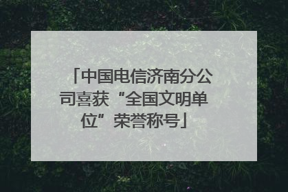 中国电信济南分公司喜获“全国文明单位”荣誉称号