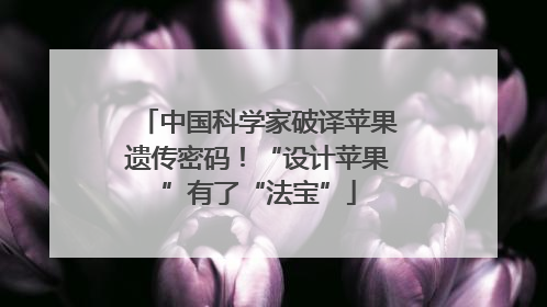 中国科学家破译苹果遗传密码！“设计苹果”有了“法宝”