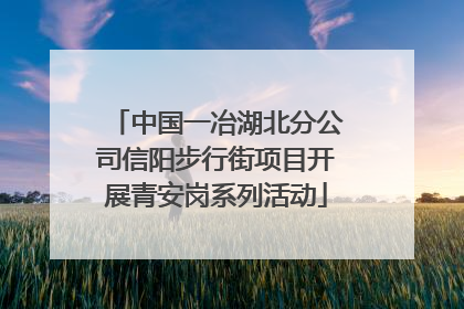 中国一冶湖北分公司信阳步行街项目开展青安岗系列活动
