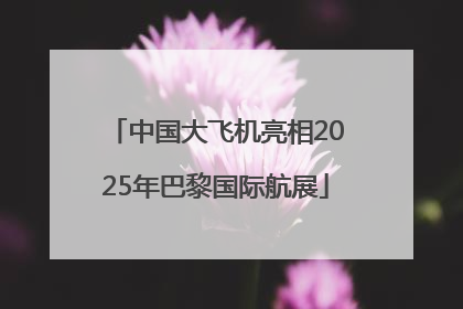 中国大飞机亮相2025年巴黎国际航展