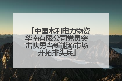 中国水利电力物资华南有限公司党员突击队勇当新能源市场开拓排头兵