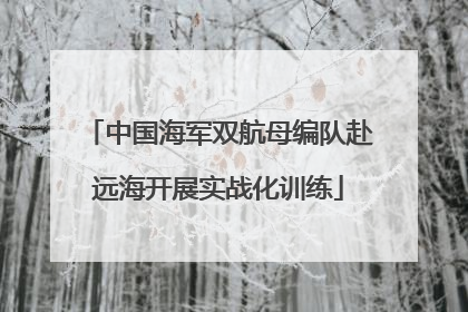 中国海军双航母编队赴远海开展实战化训练