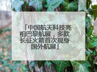 中国航天科技亮相巴黎航展，多款长征火箭首次现身国外航展