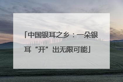 中国银耳之乡：一朵银耳“开”出无限可能