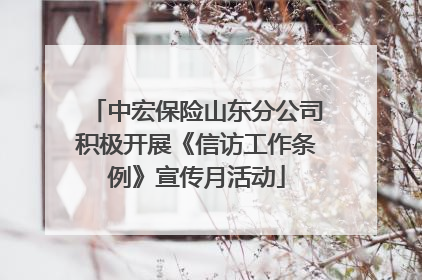 中宏保险山东分公司积极开展《信访工作条例》宣传月活动
