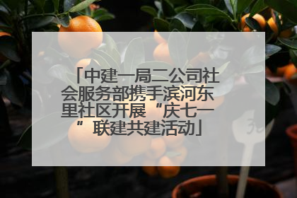 中建一局二公司社会服务部携手滨河东里社区开展“庆七一”联建共建活动