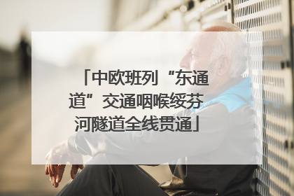 中欧班列“东通道”交通咽喉绥芬河隧道全线贯通