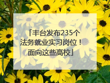丰台发布235个法务就业实习岗位！面向这些高校