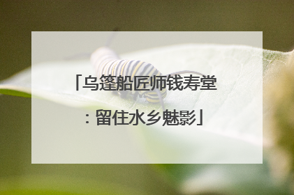 乌篷船匠师钱寿堂：留住水乡魅影