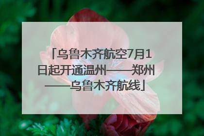 乌鲁木齐航空7月1日起开通温州——郑州——乌鲁木齐航线