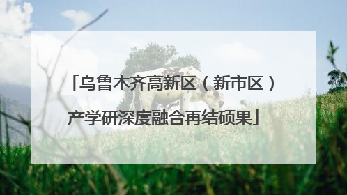 乌鲁木齐高新区（新市区）产学研深度融合再结硕果