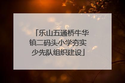 乐山五通桥牛华镇二码头小学夯实少先队组织建设