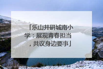乐山井研城南小学：展现青春担当，共议身边要事
