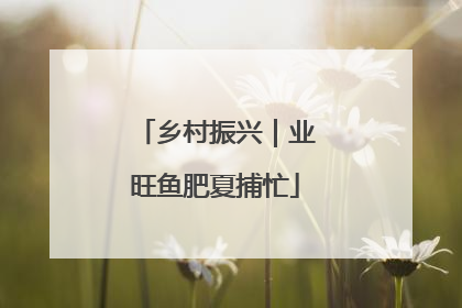 乡村振兴｜业旺鱼肥夏捕忙