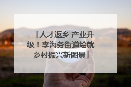 人才返乡 产业升级！李海务街道绘就乡村振兴新图景