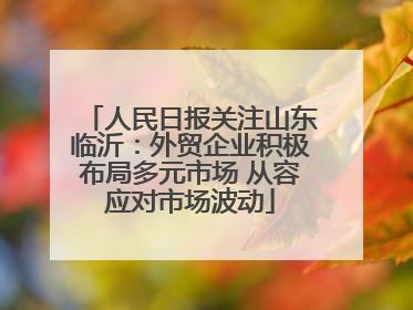 人民日报关注山东临沂：外贸企业积极布局多元市场 从容应对市场波动