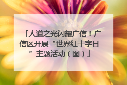 人道之光闪耀广信！广信区开展“世界红十字日”主题活动（图）