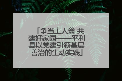 争当主人翁 共建好家园——平利县以党建引领基层善治的生动实践