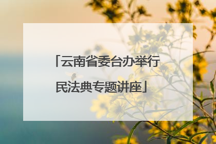 云南省委台办举行民法典专题讲座