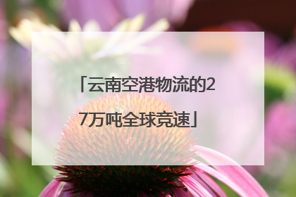 云南空港物流的27万吨全球竞速