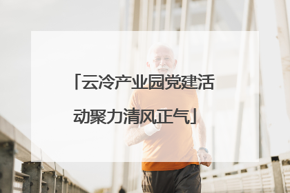 云冷产业园党建活动聚力清风正气