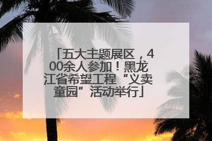 五大主题展区，400余人参加！黑龙江省希望工程“义卖童园”活动举行