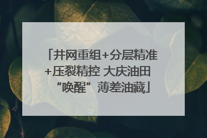 井网重组+分层精准+压裂精控 大庆油田“唤醒”薄差油藏