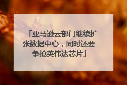 亚马逊云部门继续扩张数据中心，同时还要争抢英伟达芯片