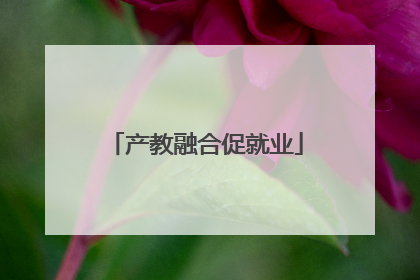 产教融合促就业