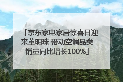 京东家电家居惊喜日迎来董明珠 带动空调品类销量同比增长100%