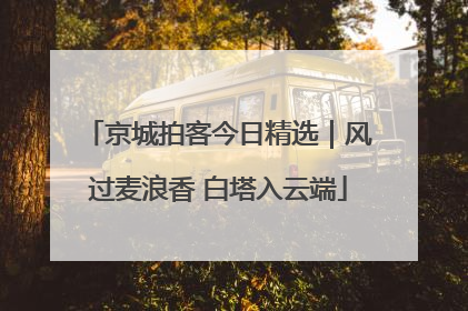 京城拍客今日精选｜风过麦浪香 白塔入云端