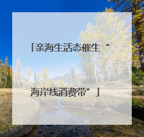 亲海生活态催生“海岸线消费带”