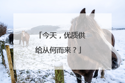 今天，优质供给从何而来？