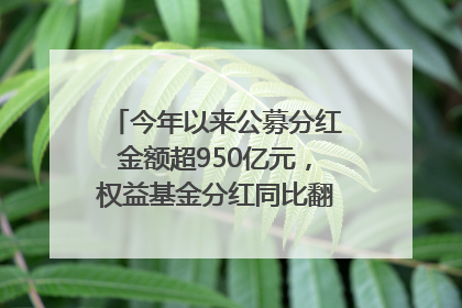 今年以来公募分红金额超950亿元，权益基金分红同比翻倍｜招财猫