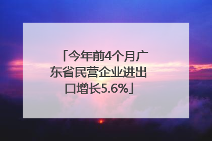 今年前4个月广东省民营企业进出口增长5.6%