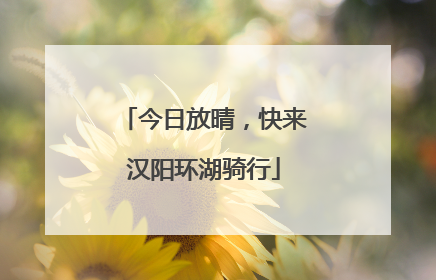 今日放晴，快来汉阳环湖骑行