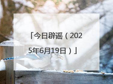 今日辟谣（2025年6月19日）