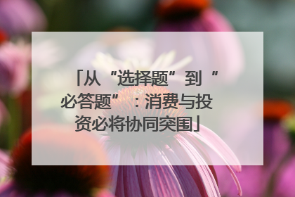 从“选择题”到“必答题”：消费与投资必将协同突围