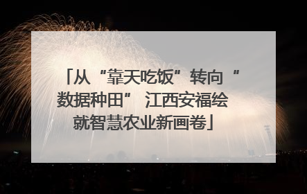 从“靠天吃饭”转向“数据种田” 江西安福绘就智慧农业新画卷