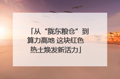 从“陇东粮仓”到算力高地 这块红色热土焕发新活力