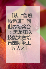 从“鲁班特色班”到世界领奖台：黑龙江以技能大赛培育国际级工匠人才