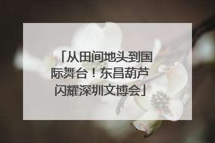 从田间地头到国际舞台！东昌葫芦闪耀深圳文博会