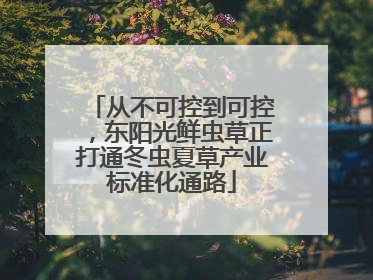 从不可控到可控，东阳光鲜虫草正打通冬虫夏草产业标准化通路