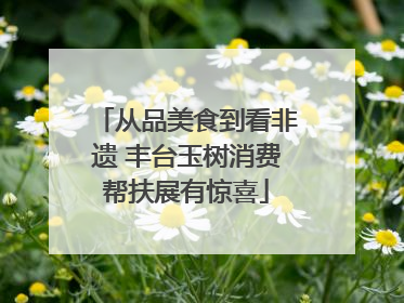 从品美食到看非遗 丰台玉树消费帮扶展有惊喜