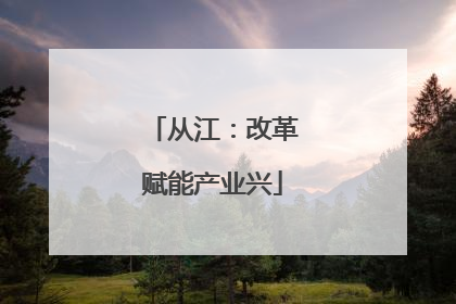 从江：改革赋能产业兴