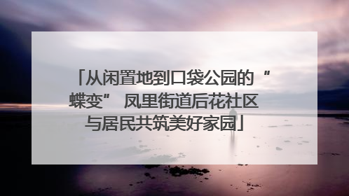 从闲置地到口袋公园的“蝶变” 凤里街道后花社区与居民共筑美好家园
