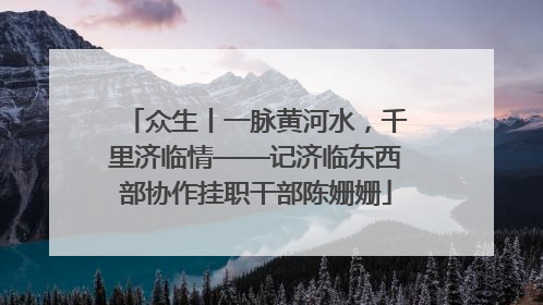 众生丨一脉黄河水，千里济临情——记济临东西部协作挂职干部陈姗姗