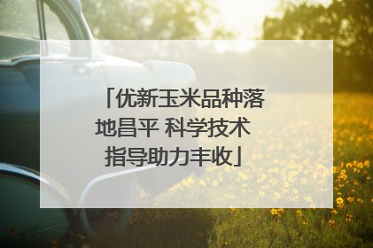 优新玉米品种落地昌平 科学技术指导助力丰收